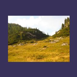 2012-08-11__03Kaerlinger-Haus_Viehkogel (294).JPG